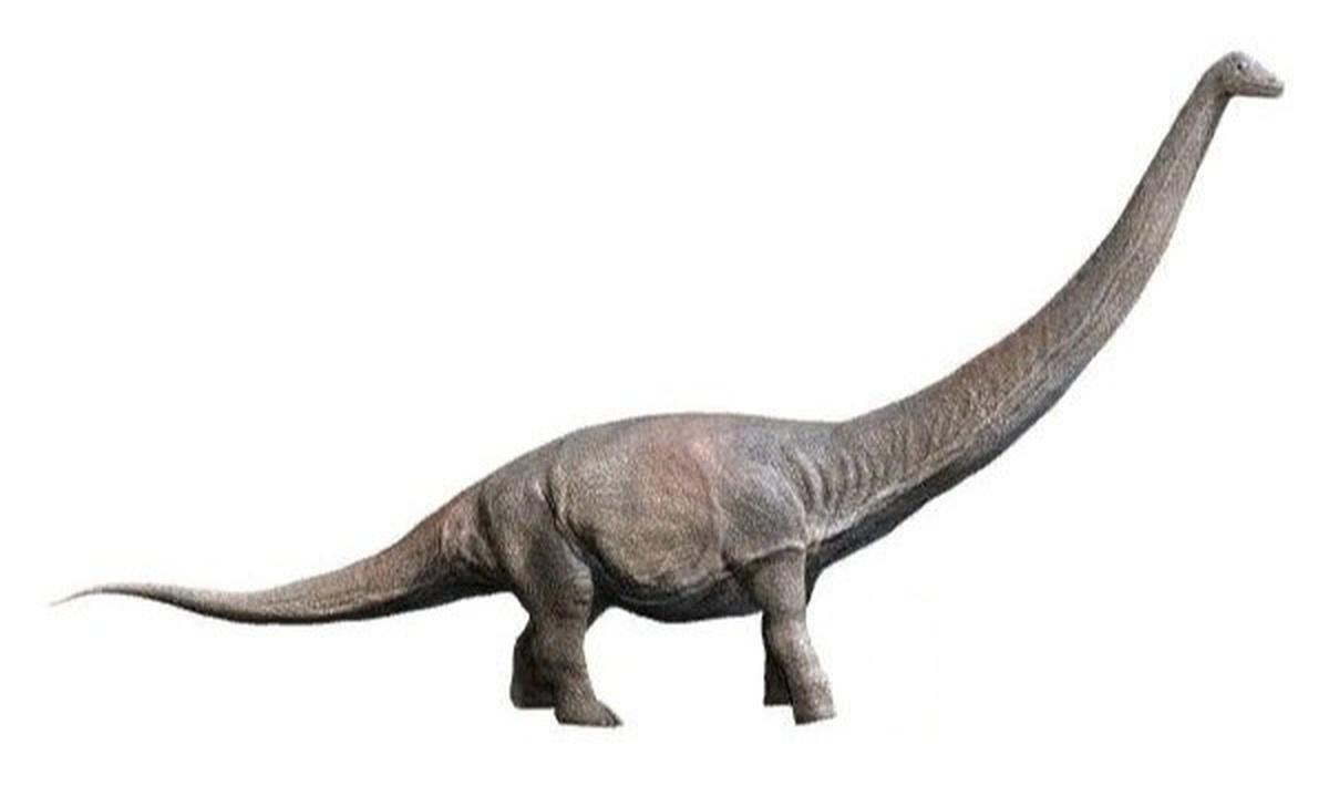 8 Titanosaurus Terbesar: Mengungkap Rahasia Raksasa Zaman Kapur