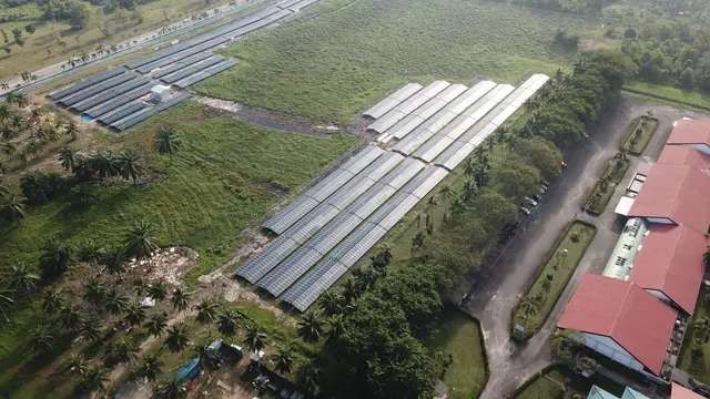 Pertamina New & Renewable Energy (Pertamina NRE) mampu meningkatkan pemanfaatan listrik yang bersumber dari energi hijau 267 persen di 2022 dibandingkan kapasitas pada tahun sebelumnya. (Dok Pertamina)