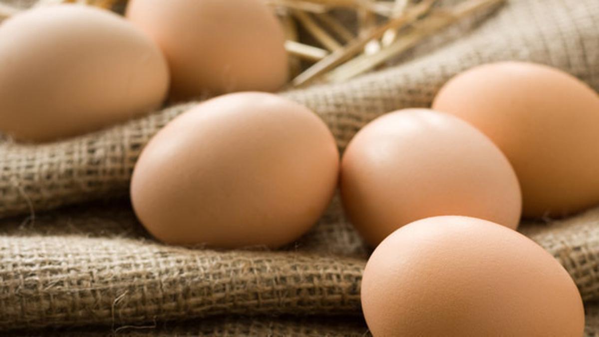 Protein sebagai Cara Membentuk Tubuh Beauty