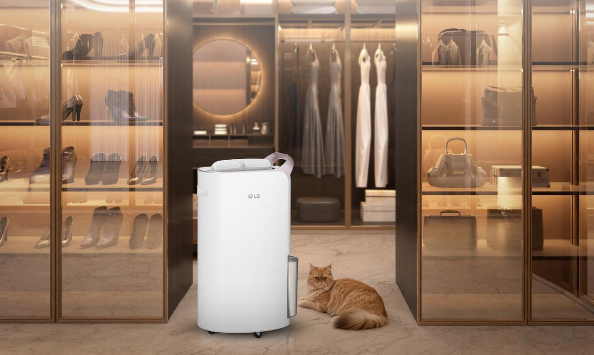 Tips Memilih Dehumidifier untuk Cegah Jamur, Bau Apek, dan Udara Lembab yang Ganggu Kesehatan