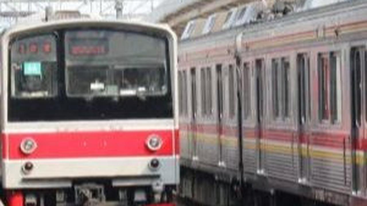 Sempat Terganggu Pohon Tumbang, KRL Rute Stasiun Pondok Ranji-Kebayoran Kembali Normal