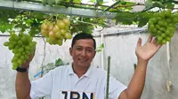 Kisah Petani Milenial Garut Sukses Petik Cuan dari Budi Daya Bibit Anggur Impor