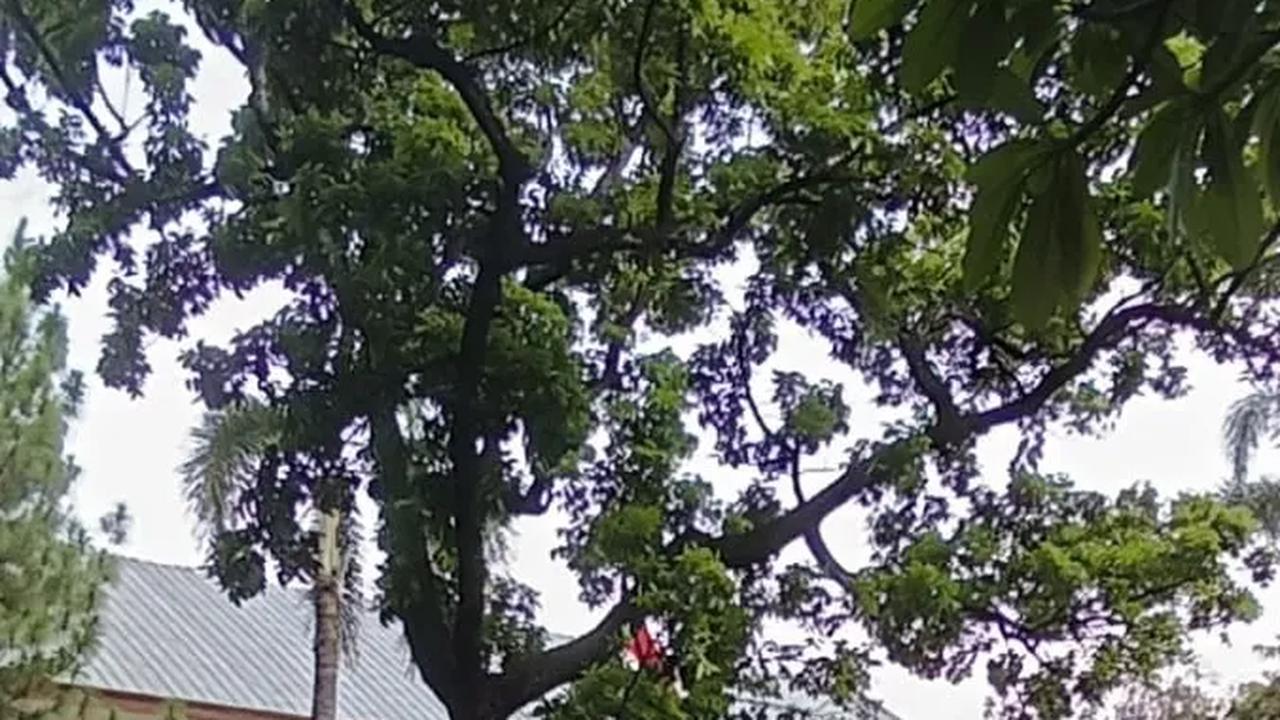 Kronologi Pria Mantan ASN Serang Polisi Jaga di Rumah Kapolri Jenderal Sigit