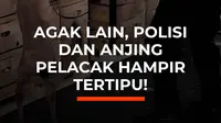Polisi Ekuador menggagalkan pengiriman 1,2 ton kokain ke Eropa yang disamarkan dengan cara meresapkan narkoba ke 1.080 kardus buah. Anjing pelacak membantu mengungkap muatan mencurigakan di Pelabuhan Guayaquil yang diperkirakan bernilai hingga US$58,57 juta di pasar Eropa.