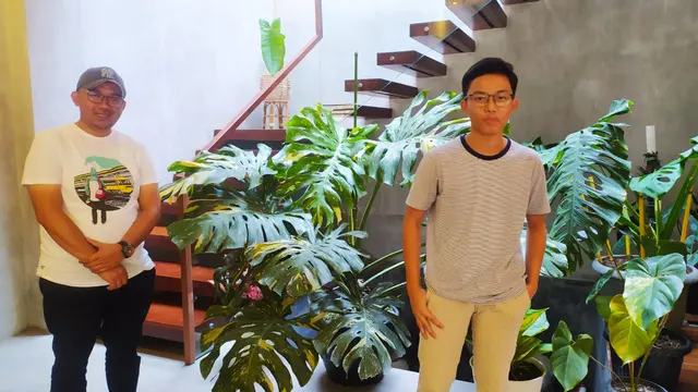 Hidmat bersama anaknya tengah menunjukan tanaman hias Aroid jenis monstera variegata thai constellation seharga Rp 65 juta, di rumahnya, Garut, Jawa Barat.