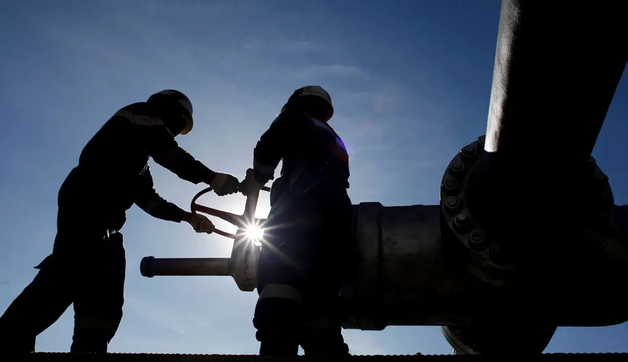 Pembangkit Listrik Tenaga Panas Bumi (PLTP) Karaha Unit 1 berkapasitas 1x30 MW di PLTP Karaha Bodas, Tasikmalaya, Jawa Barat, Sabtu (19/4). (REUTERS/Beawiharta)