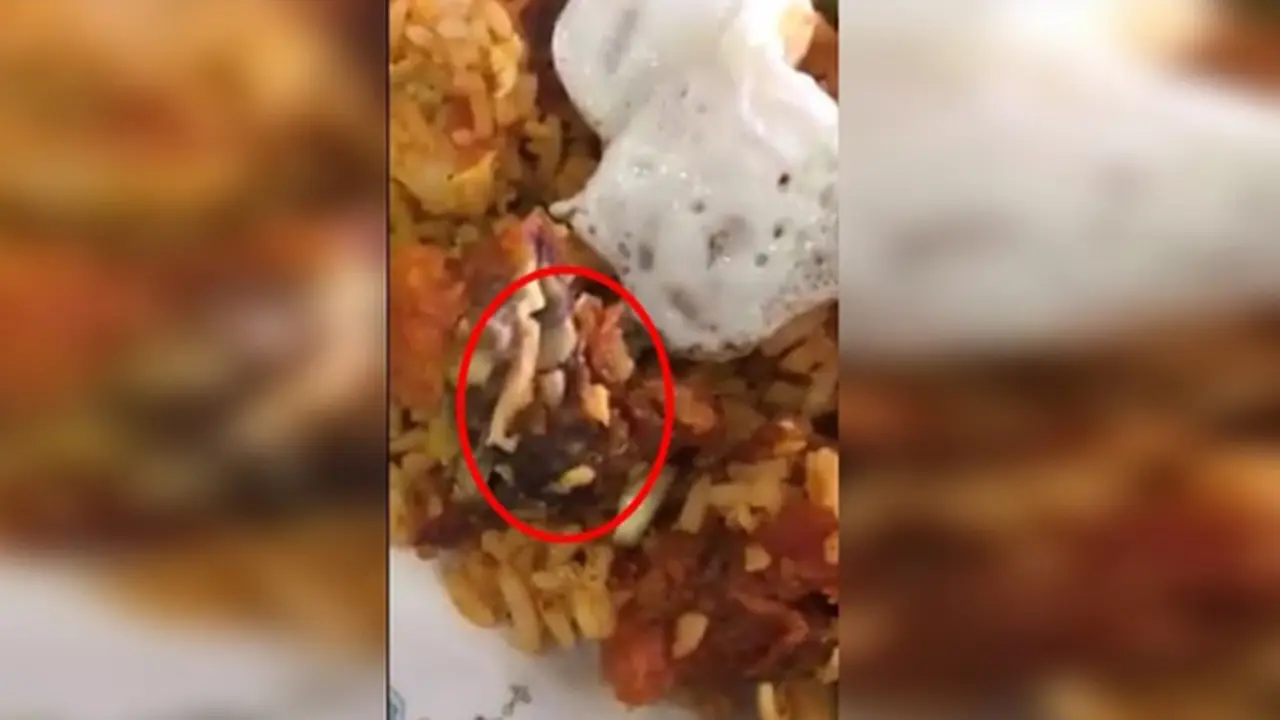 Menjijikan, Cacing Ditemukan Riuh dalam Makanan Cepat Saji 