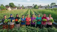 8 Ide Kebun Sayur Tumpangsari Tradisional untuk Organisasi Ibu-ibu di Desa