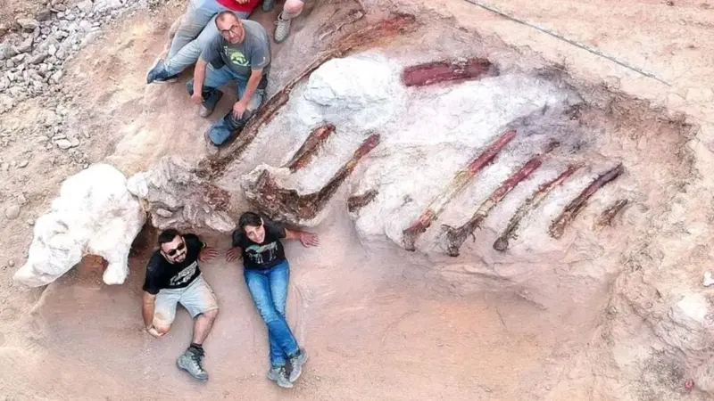 Temuan Fosil Dinosaurus Raksasa Setinggi 12 Meter di Kebun Warga, Jadi Salah Satu yang Terbesar