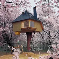 Tinggal di rumah pohon bisa menjadi salah satu alternatif untuk gerakan hijau.