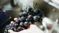 5 Buah yang Sebaiknya Tidak Dicuci Sebelum Disimpan, Lengkap Tips Jaga Kesegaran Lebih Optimal