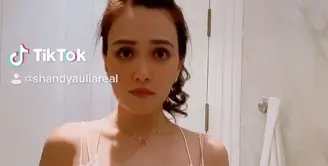 Shandy Aulia (Instagram/shandyaulia)