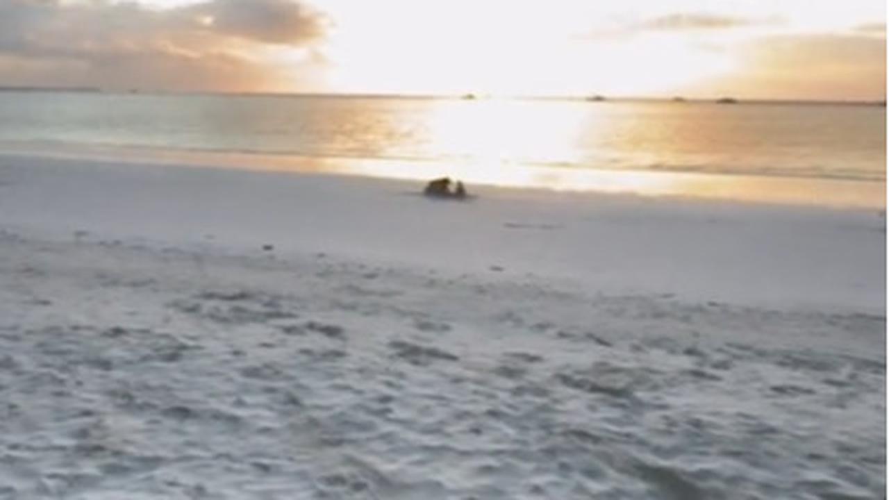 Dibuat Takjub, Momen Pria yang Perlihatkan Pantai dengan Pasir Terhalus di Dunia Ini Curi Perhatian