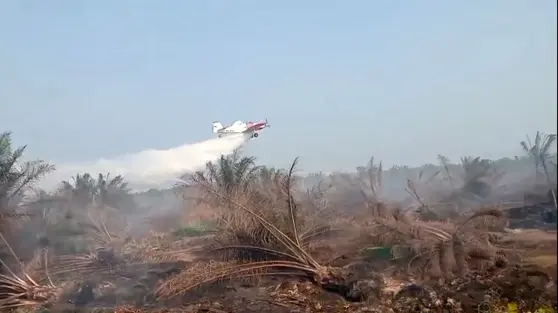 Kebakaran Gambut di Mesuji, Pesawat Water Bombing Dikerahkan