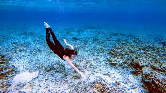 6 Wisata Gili Trawangan yang Wajib Dikunjungi, Surga Terindah di Lombok