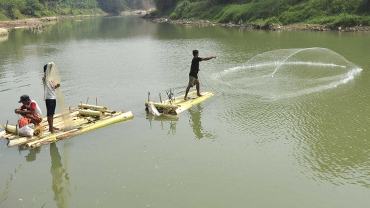 Berkah kemarau bagi pencari ikan di Sungai Cisadane