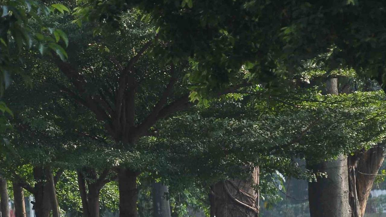 Pencegahannya itu harus dilakukan sedini mungkin dari diri sendiri.
merdeka.com/imam buhori.