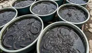 9 Cara Ternak Belut dalam Bak Plastik untuk Lahan Perkotaan, Panduan Lengkap
