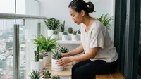 7 Ide Teras Rumah Sederhana dengan Tanaman Hias dalam Pot Kecil, Tips Dekorasi Lahan Sempit