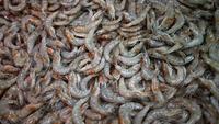 FDA Recalls Frozen Shrimp Suspected of Being Radioactive at Walmart, Originated in Indonesia?