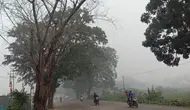 Kabut Asap Kebakaran Hutan Ancam Kesehatan Anak, Kenali Tanda yang Perlu Diwaspadai