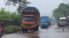 liputan6