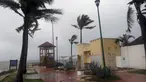 Pohon palem tertiup angin sebelum Badai Agatha mendarat di Huatulco, Negara Bagian Oaxaca, Meksiko pada Senin (30/5/2022). Badai Agatha, yang pertama musim ini, mendarat pada hari Senin di dekat serangkaian resor pantai di Pantai Pasifik Meksiko, di mana penduduk dan turis bersembunyi di tempat perlindungan badai. (Gil OBED / AFP)