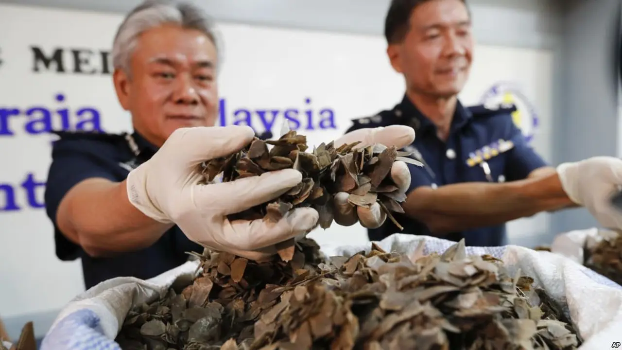 Direktur Bea Cukai Bandara Malaysia Hamzah Sundang (kiri), menampilkan kulit trenggiling yang disita dalam konferensi pers di Sepang, Malaysia pada hari Jumat, 16 Juni 2017. (AP Photo / Vincent Thian)