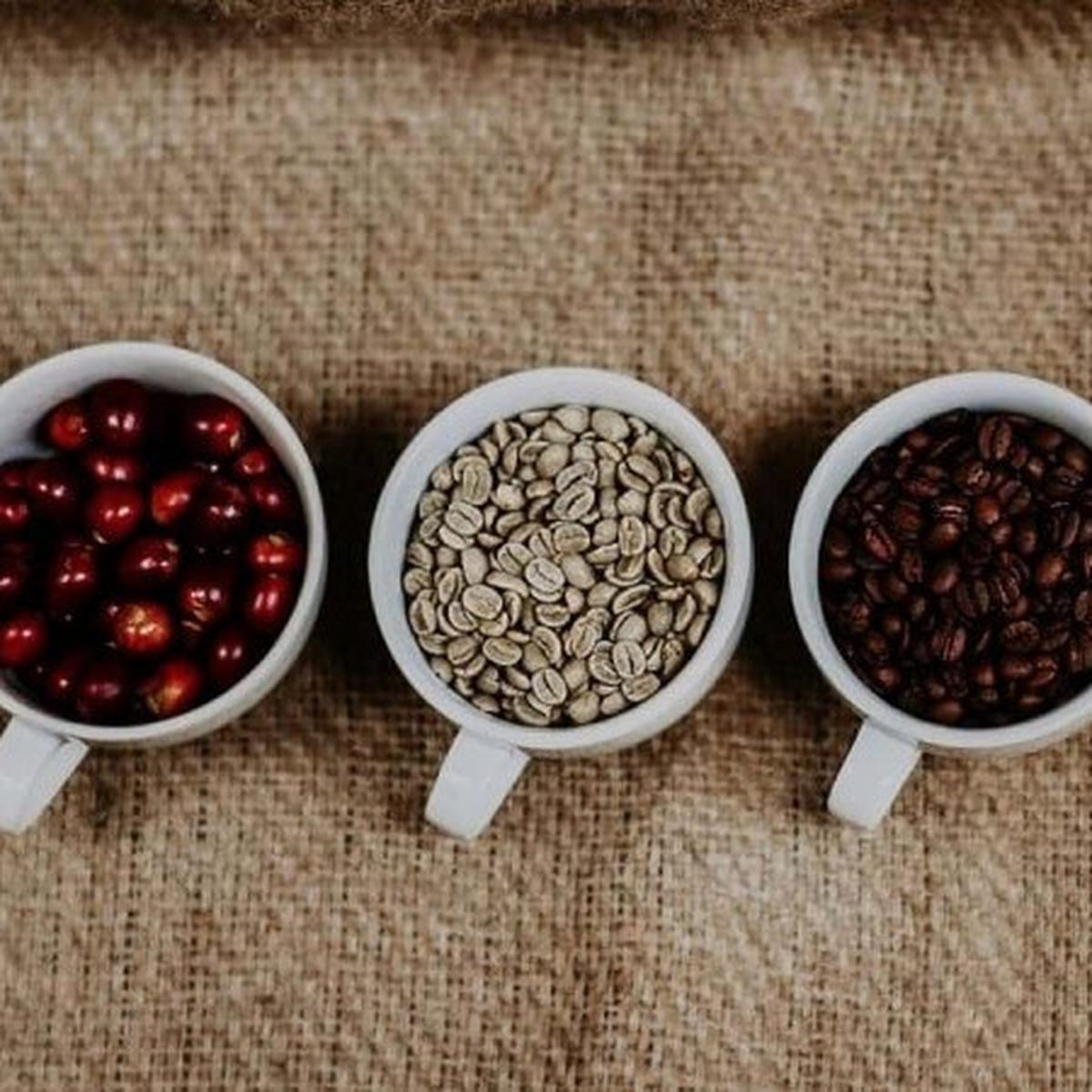 ilustrasi kopi