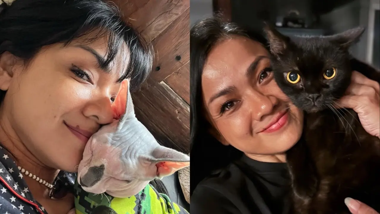 Foto-foto Kucing Nirina Zubir/Instagram @nirinazubir_