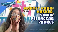 THUMBNAIL monyet