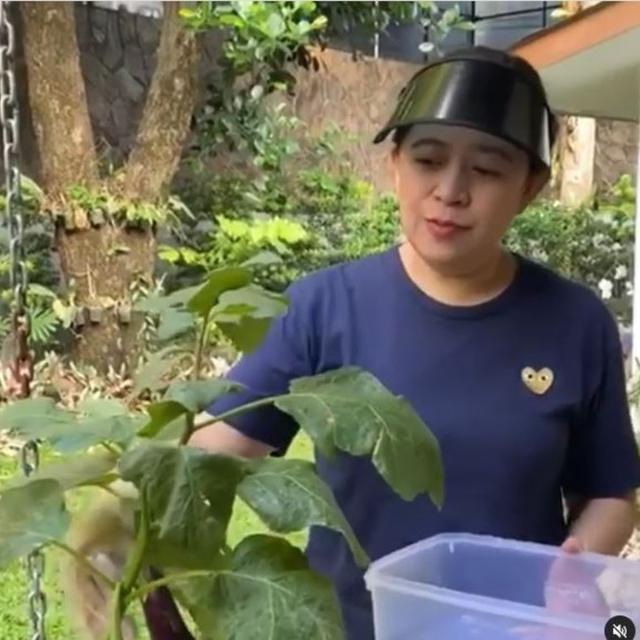 Gaya Ketua DPR Puan Maharani Saat Berkebun di Rumah