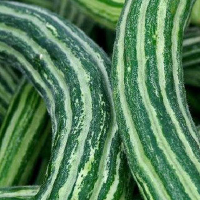 Krai Buah Khas Banyuwangi Yang Hanya Muncul Saat Ramadan Lifestyle Liputan6 Com