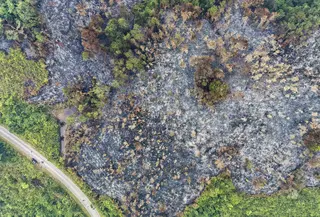 Foto udara ini memperlihatkan lahan yang terdampak kebakaran hutan di Kapuas Hulu, Kalimantan Barat, Jumat, 4 September 2026. (AFP/ Bay Ismoyo)