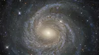 Galaksi spiral di konstelasi Aquila. (ESA/Hubble/NASA)