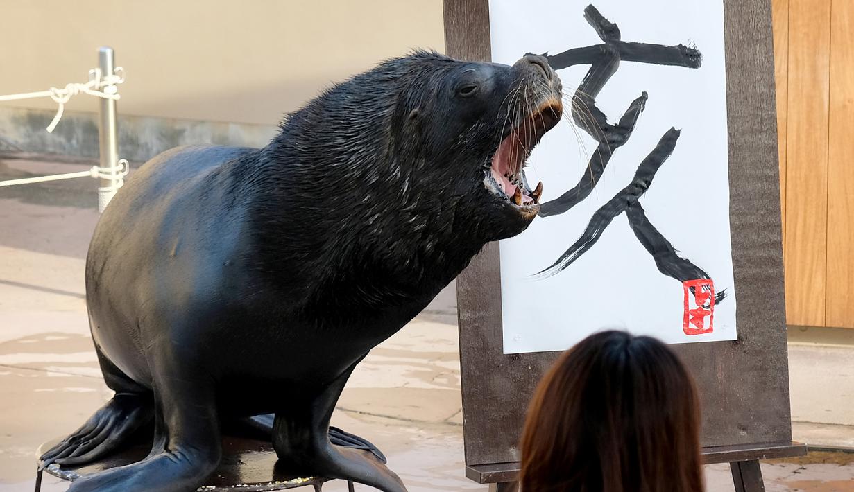 Singa laut 'Leo' berpose di samping lukisan aksara China tahun babi hutan yang dibuatnya di Hakkeijima Sea Paradise, Yokohama, Tokyo (26/12).  Imlek yang akan datang akan masuk ke dalam Tahun Babi. (AFP Photo/Kazuhiro Nogi)