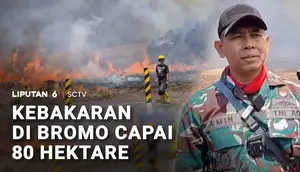 Kebakaran di Bromo Capai 80 Hektare