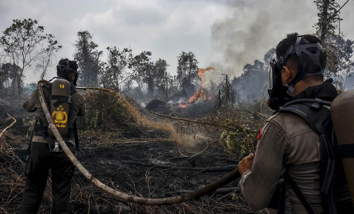 Sejumlah Daerah Dilanda Kebakaran Lahan Gambut