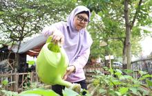 Kisah Emak-Emak di Nusa Jaya Tangerang Tanam Sayur di Lahan Kosong, Bantu Pangan Warga di Tengah Mahalnya Bahan Pokok