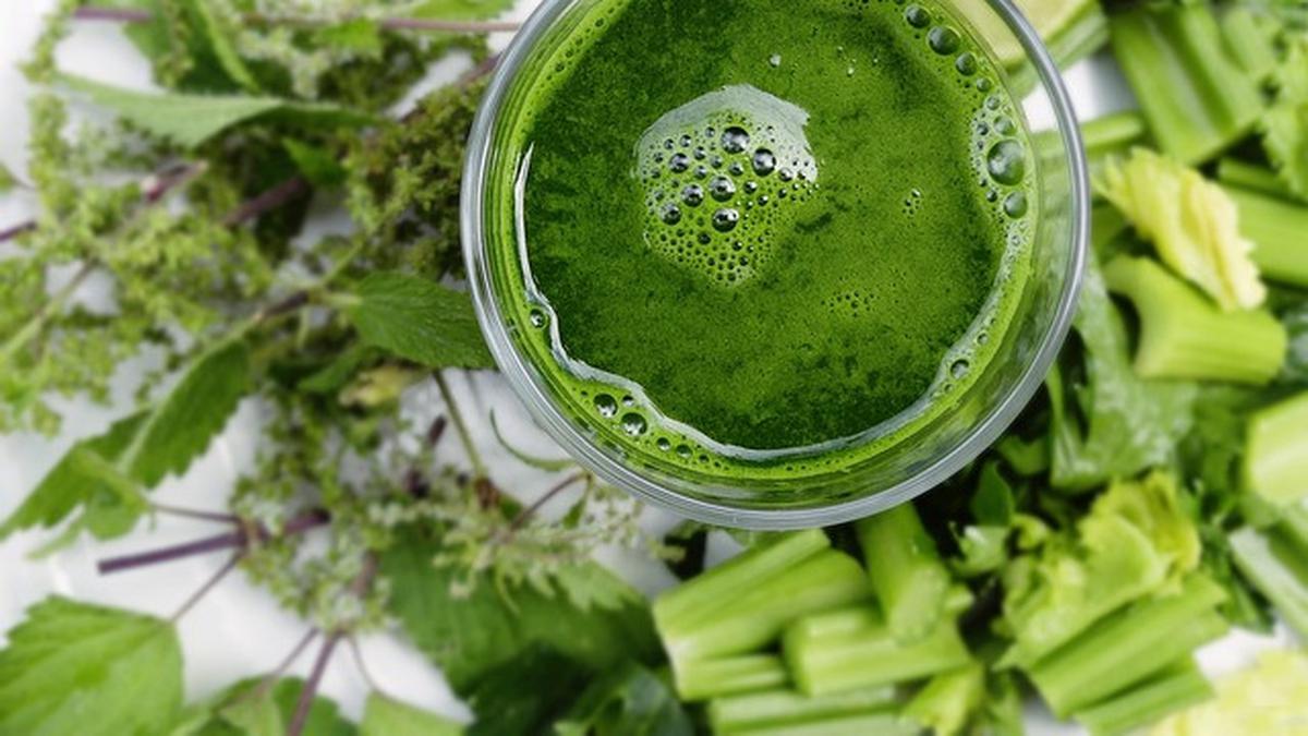 5 Manfaat Daun Meniran untuk Kesehatan Tubuh