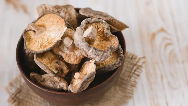 Jamur Shiitake