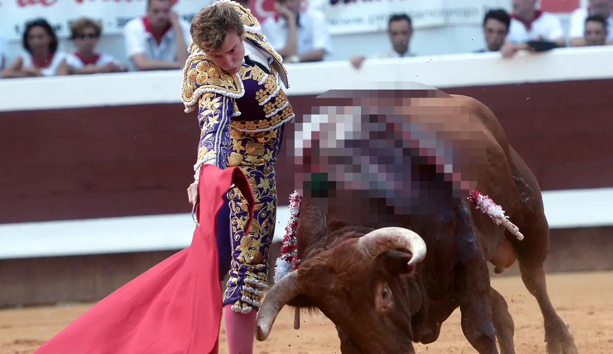 Matador Spanyol Roman berusaha menenangkan seekor banteng Pedraza de Yeltes selama Festival Dax di Dax Arena, barat daya Prancis (14/8). (AFP Photo/Iroz Gaizka)