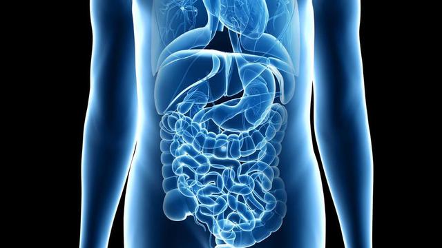 Yang Wajib Diketahui Soal Saluran Cerna Anak