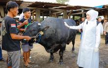 Gubernur Khofifah Dorong Peternak Tingkatkan Kualitas Daging Global Jawa Timur untuk Pasar Ekspor