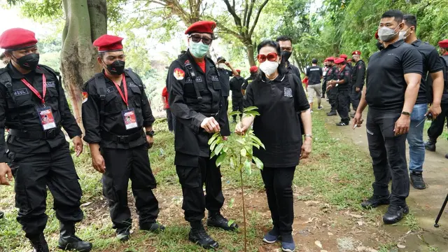 Ketua DPP PDIP, Yasonna H Laoly melakukan aksi bersih-bersih dan penanaman pohon di daerah aliran sungai (DAS) Ciliwung