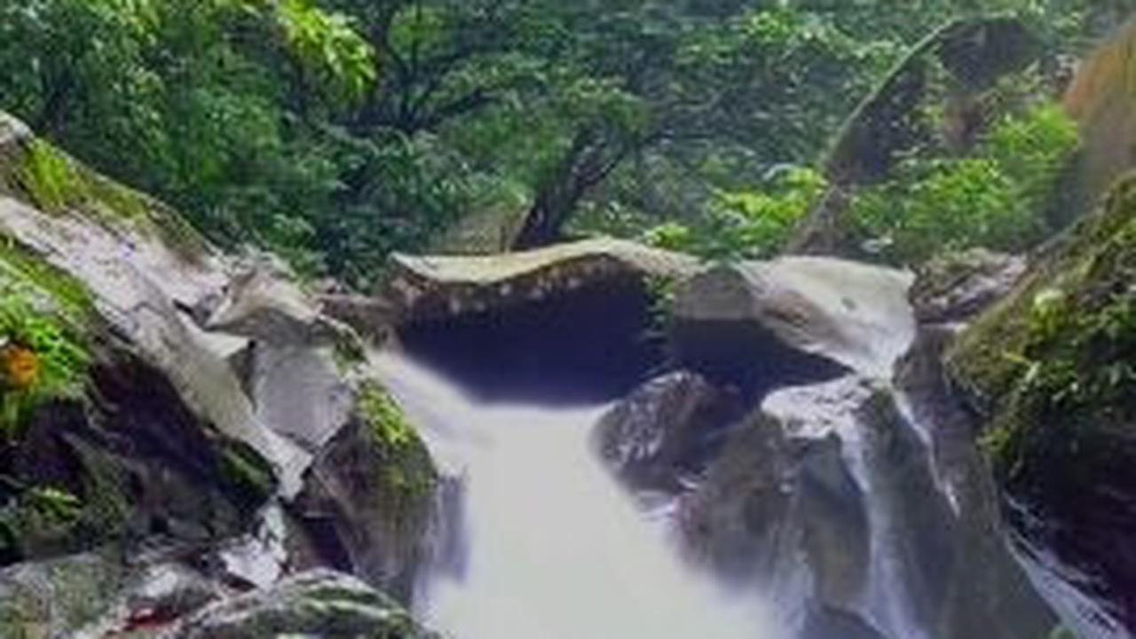 Sosok Ini Tinggalkan Kemewahan Hidup Pilih Bertapa di Hutan, Begini Kisah di Balik Keindahan Air Terjun Kakek Bodo Pasuruan