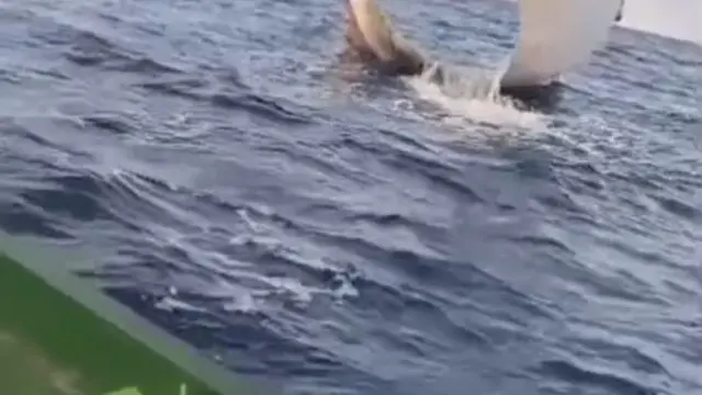 Nelayan Temukan Serpihan Benda Asing diperairan Anambas. (Dok. Istimewa)
