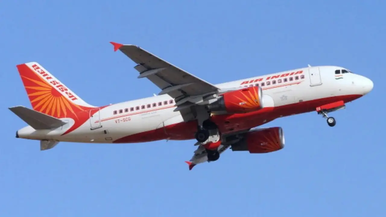 Ilustrasi Air India penerbangan india ke israel (AFP/Arsip)