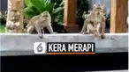 kera thumbnail