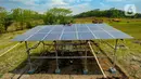 Petani membersihkan panel surya yang dipasang pada areal pertanian di Cikaduwetan, Kabupaten Kuningan, Jawa Barat, Rabu (23/8/2023). (merdeka.com/Arie Basuki)